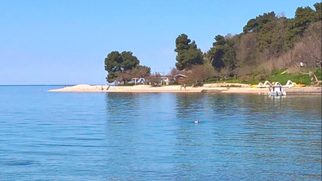 Apartment Tim Ζαντάρ Εξωτερικό φωτογραφία